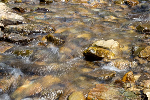 Ukrayna Karpatları 'nda bir yaz gününde dağ deresi