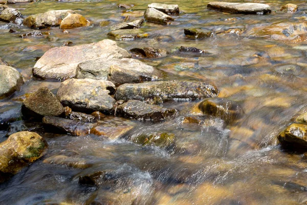Ukrayna Karpatları 'nda bir yaz gününde dağ deresi
