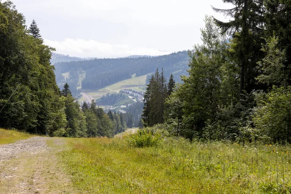 Bir yaz günü Ukrayna Karpatları 'nda toprak dağ yolu.