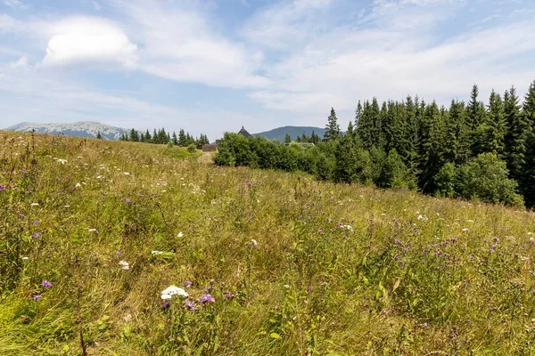 Bir yaz günü Ukrayna Karpatları 'nda dağ panoraması.