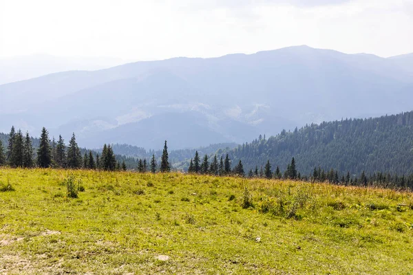 Bir yaz günü Ukrayna Karpatları 'nda dağ panoraması.