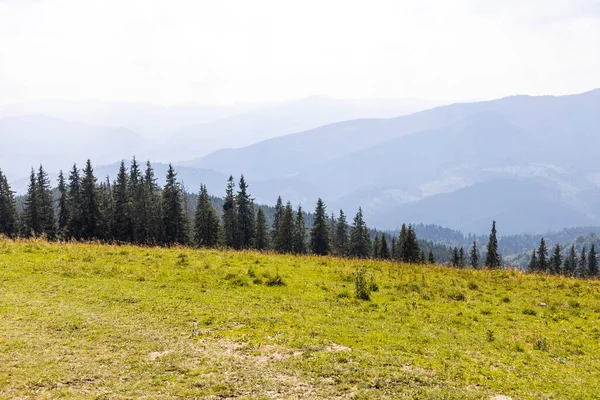 Bir yaz günü Ukrayna Karpatları 'nda dağ panoraması.