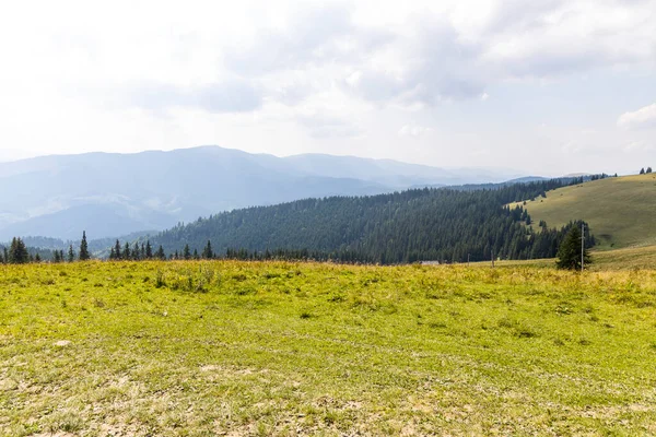 Bir yaz günü Ukrayna Karpatları 'nda dağ panoraması.