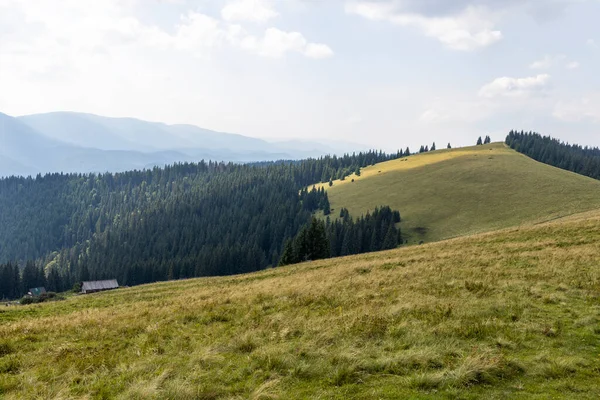 Panorama Gór Karpatach Ukraińskich Letni Dzień — Zdjęcie stockowe