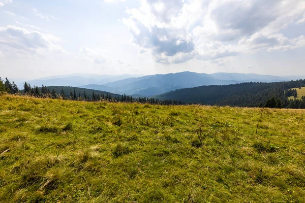 Bir yaz günü Ukrayna Karpatları 'nda dağ panoraması.