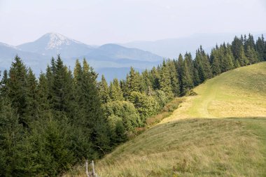 Bir yaz günü Ukrayna Karpatları 'nda dağ panoraması.