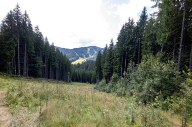 Bir yaz günü Ukrayna Karpatları 'nda dağ panoraması.