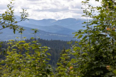 Ukrayna Karpatlar dağ manzarası