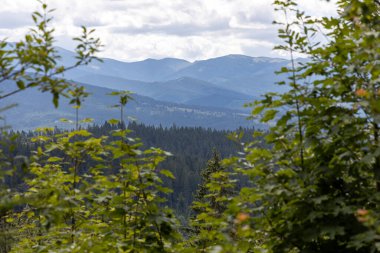 Ukrayna Karpatlar dağ manzarası