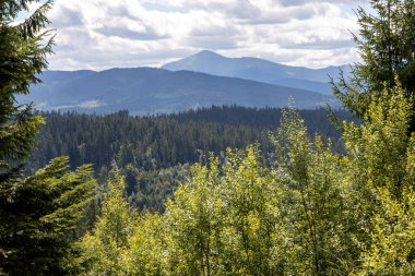 Bir yaz günü Ukrayna Karpatları 'nda dağ panoraması.