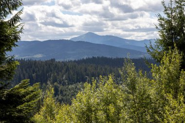 Bir yaz günü Ukrayna Karpatları 'nda dağ panoraması.