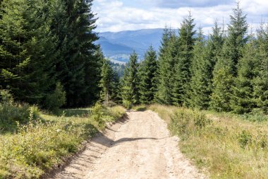 Bir yaz günü Ukrayna Karpatları 'nda toprak dağ yolu.