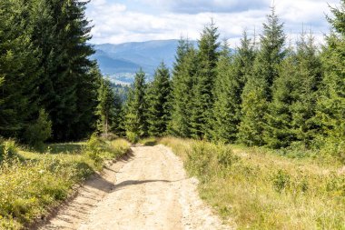 Bir yaz günü Ukrayna Karpatları 'nda toprak dağ yolu.