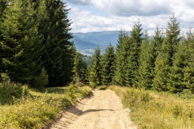 Bir yaz günü Ukrayna Karpatları 'nda toprak dağ yolu.