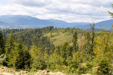 Bir yaz günü Ukrayna Karpatları 'nda dağ panoraması.