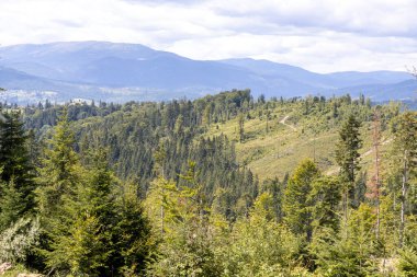 Bir yaz günü Ukrayna Karpatları 'nda dağ panoraması.