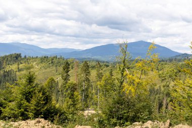 Bir yaz günü Ukrayna Karpatları 'nda dağ panoraması.