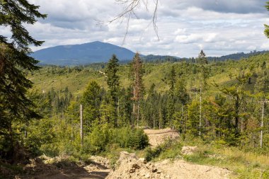 Bir yaz günü Ukrayna Karpatları 'nda dağ panoraması.
