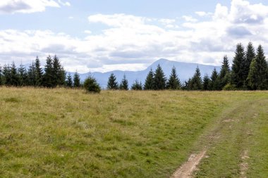 Bir yaz günü Ukrayna Karpatları 'nda toprak dağ yolu.