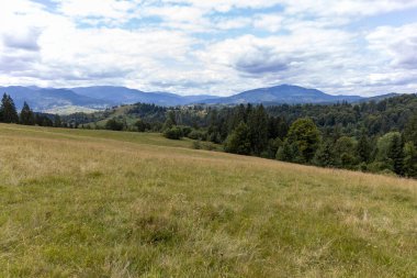 Bir yaz günü Ukrayna Karpatları 'nda dağ panoraması.