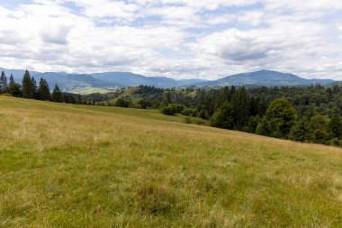 Bir yaz günü Ukrayna Karpatları 'nda dağ panoraması.