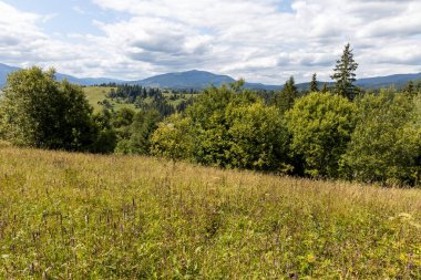 Bir yaz günü Ukrayna Karpatları 'nda dağ panoraması.