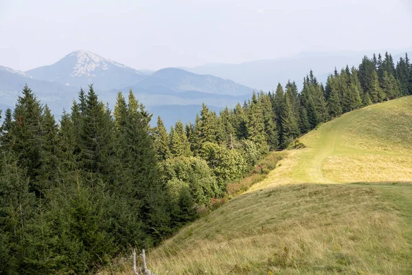 Bir yaz günü Ukrayna Karpatları 'nda dağ panoraması.