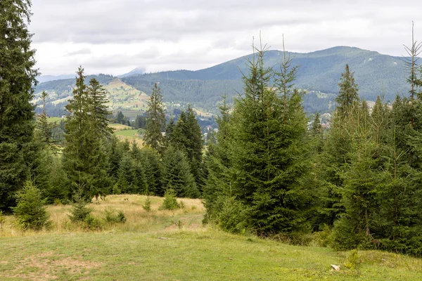Bir yaz günü Ukrayna Karpatları 'nda dağ panoraması.
