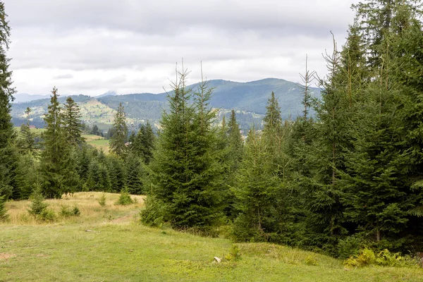 Bir yaz günü Ukrayna Karpatları 'nda dağ panoraması.