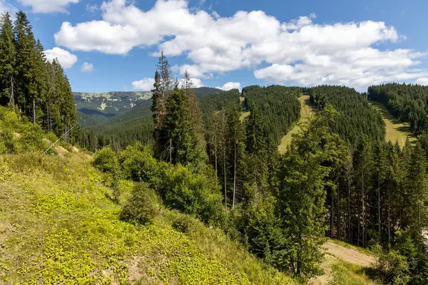 Bir yaz günü Ukrayna Karpatları 'nda dağ panoraması.