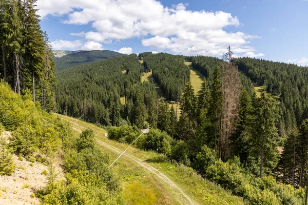 Bir yaz günü Ukrayna Karpatları 'nda dağ panoraması.