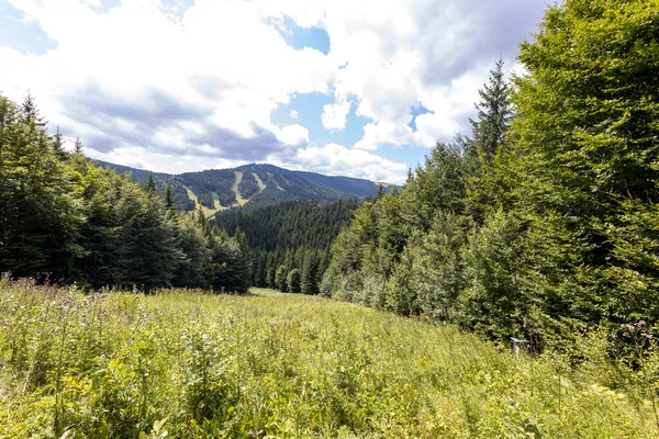 Bir yaz günü Ukrayna Karpatları 'nda dağ panoraması.