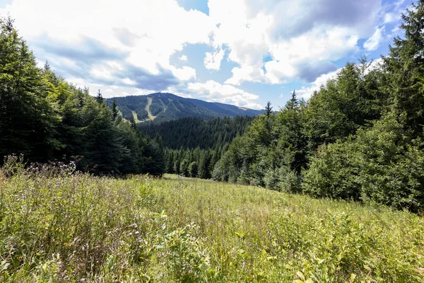 Bir yaz günü Ukrayna Karpatları 'nda dağ panoraması.
