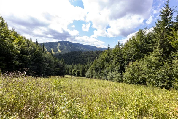 Bir yaz günü Ukrayna Karpatları 'nda dağ panoraması.