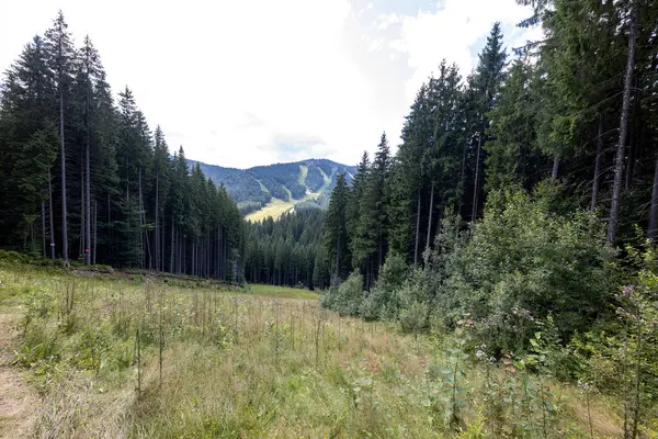 Bir yaz günü Ukrayna Karpatları 'nda dağ panoraması.