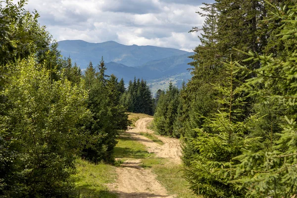 Bir yaz günü Ukrayna Karpatları 'nda toprak dağ yolu.
