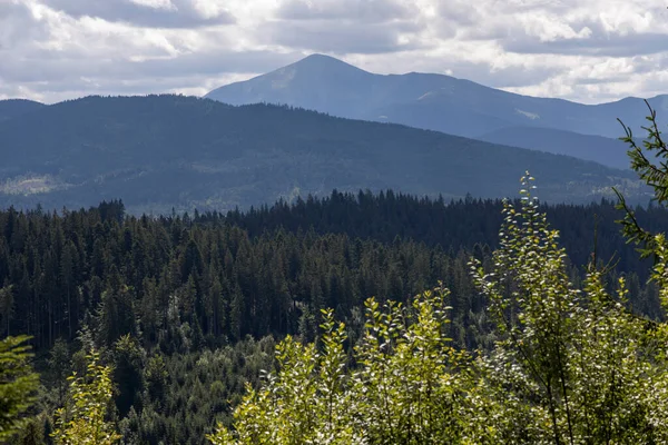 Bir yaz günü Ukrayna Karpatları 'nda dağ panoraması.
