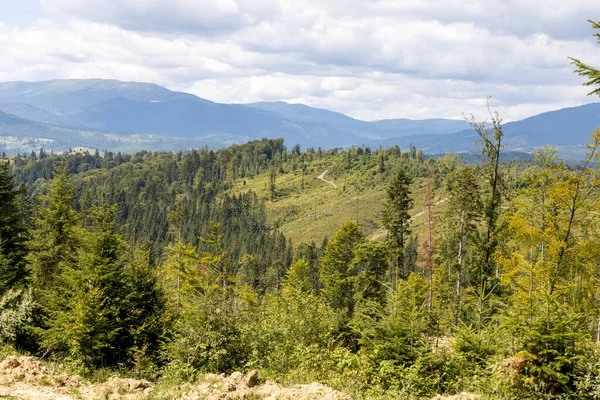 Bir yaz günü Ukrayna Karpatları 'nda dağ panoraması.