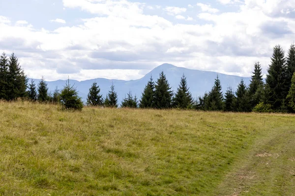 Bir yaz günü Ukrayna Karpatları 'nda dağ panoraması.