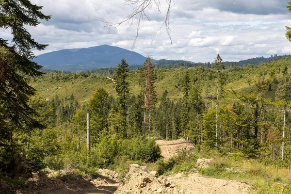 Bir yaz günü Ukrayna Karpatları 'nda dağ panoraması.