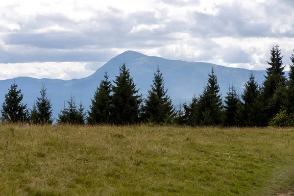 Bir yaz günü Ukrayna Karpatları 'nda dağ panoraması.