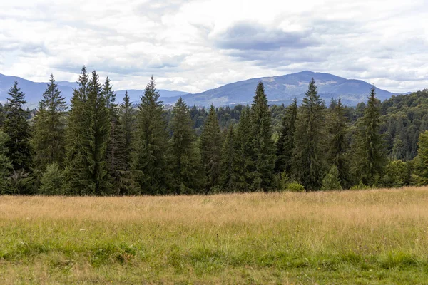 Panorama Montanhas Nos Cárpatos Ucranianos Dia Verão — Fotografia de Stock