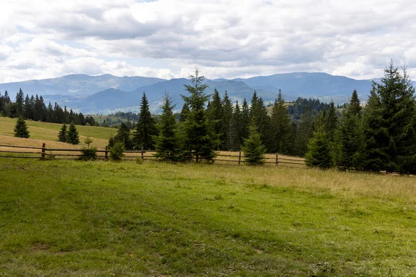 Bir yaz günü Ukrayna Karpatları 'nda dağ panoraması.