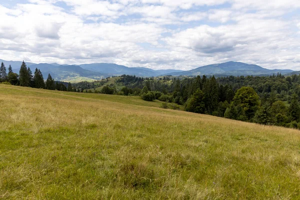 Bir yaz günü Ukrayna Karpatları 'nda dağ panoraması.