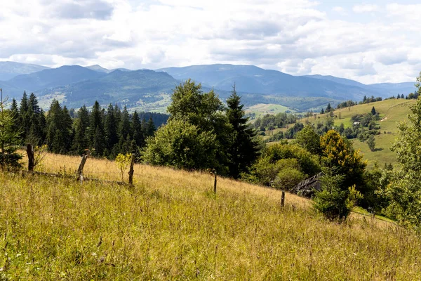 Bir yaz günü Ukrayna Karpatları 'nda dağ panoraması.