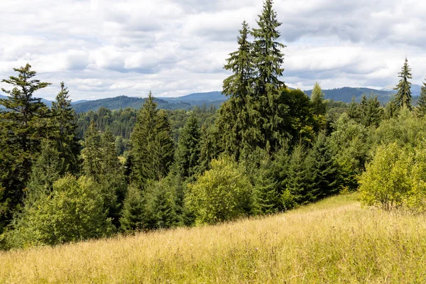 Bir yaz günü Ukrayna Karpatları 'nda dağ panoraması.