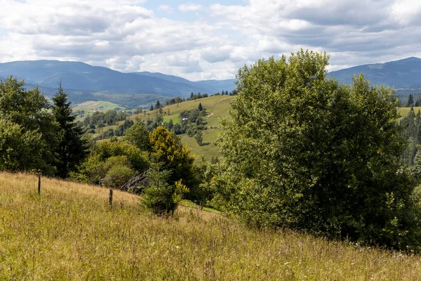 Bir yaz günü Ukrayna Karpatları 'nda dağ panoraması.