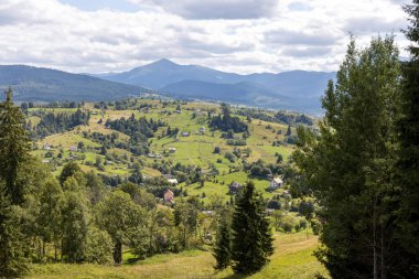 Bir yaz günü Ukrayna Karpatları 'nda dağ panoraması.