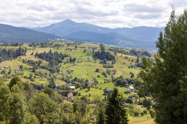 Bir yaz günü Ukrayna Karpatları 'nda dağ panoraması.