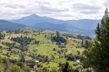 Bir yaz günü Ukrayna Karpatları 'nda dağ panoraması.